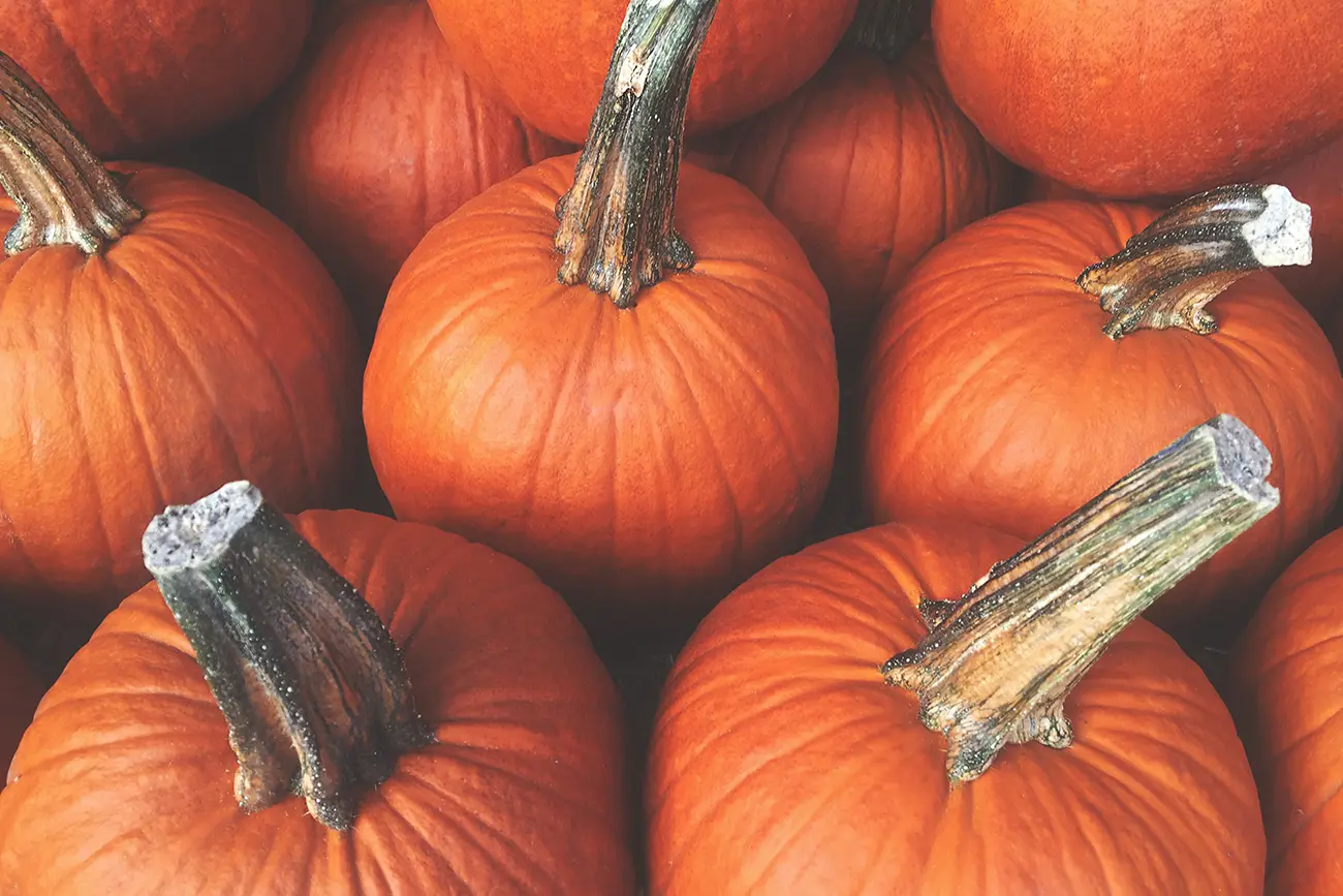 How to Draw a Pumpkin